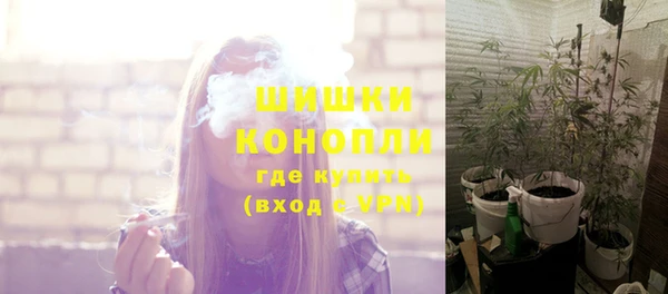 МДПВ Ладушкин