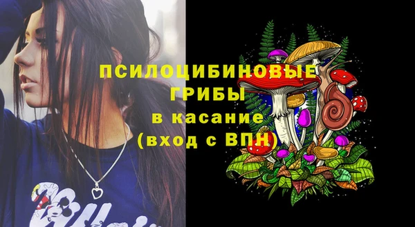 МДПВ Ладушкин