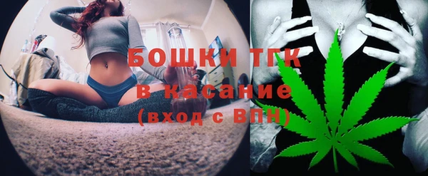 индика Лагань