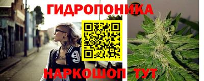 спайс Кингисепп