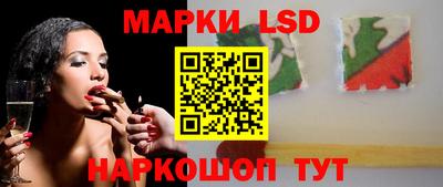 спайс Кингисепп