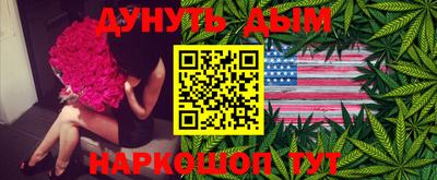 спайс Кингисепп