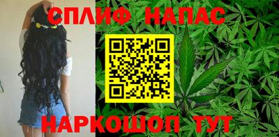 СК Балаково