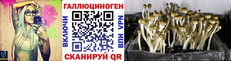 Псилоцибиновые грибы мухоморы Северск