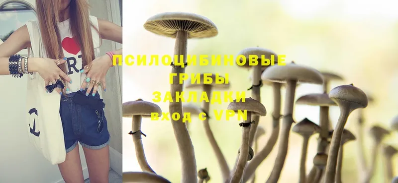 Галлюциногенные грибы Cubensis  Северск 