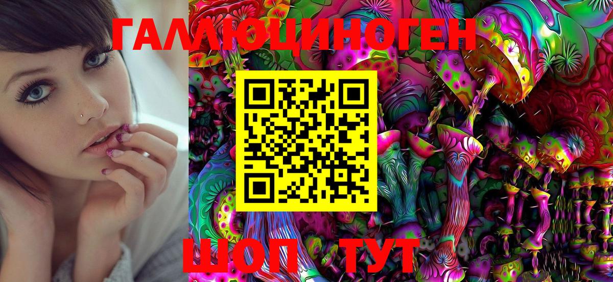 Псилоцибиновые грибы GOLDEN TEACHER  Вход с VPN  Северск 